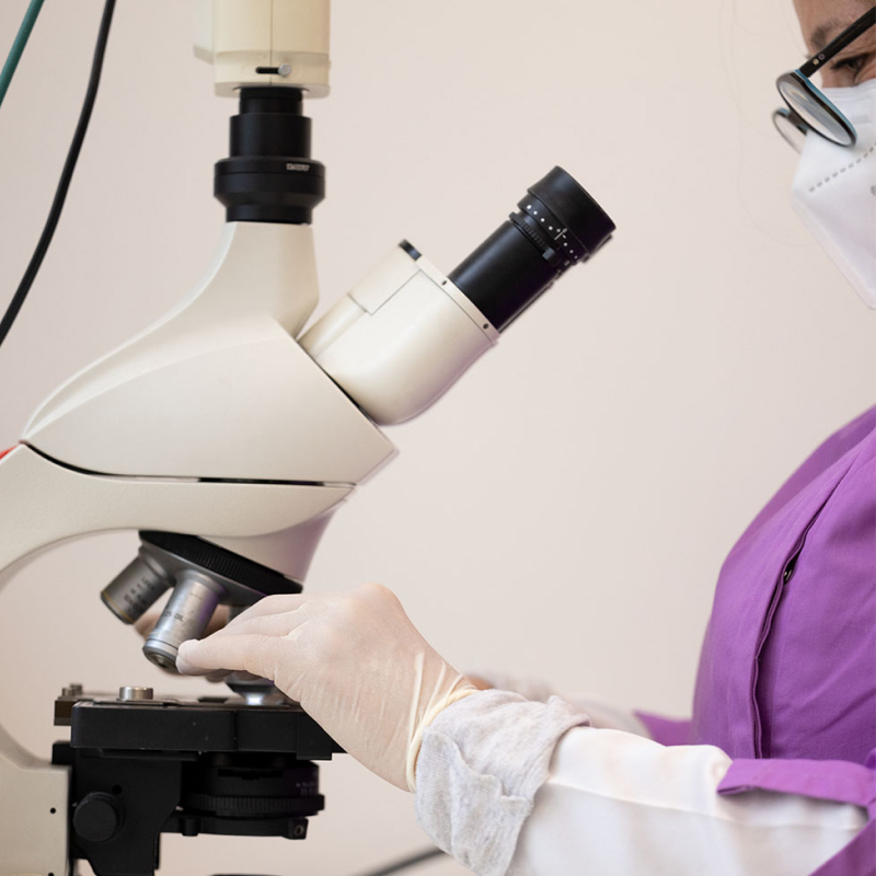 COMPÉTENCES ET EXPERTISE AU COEUR DU PARCOURS DE SOINS DE SANA ORIS